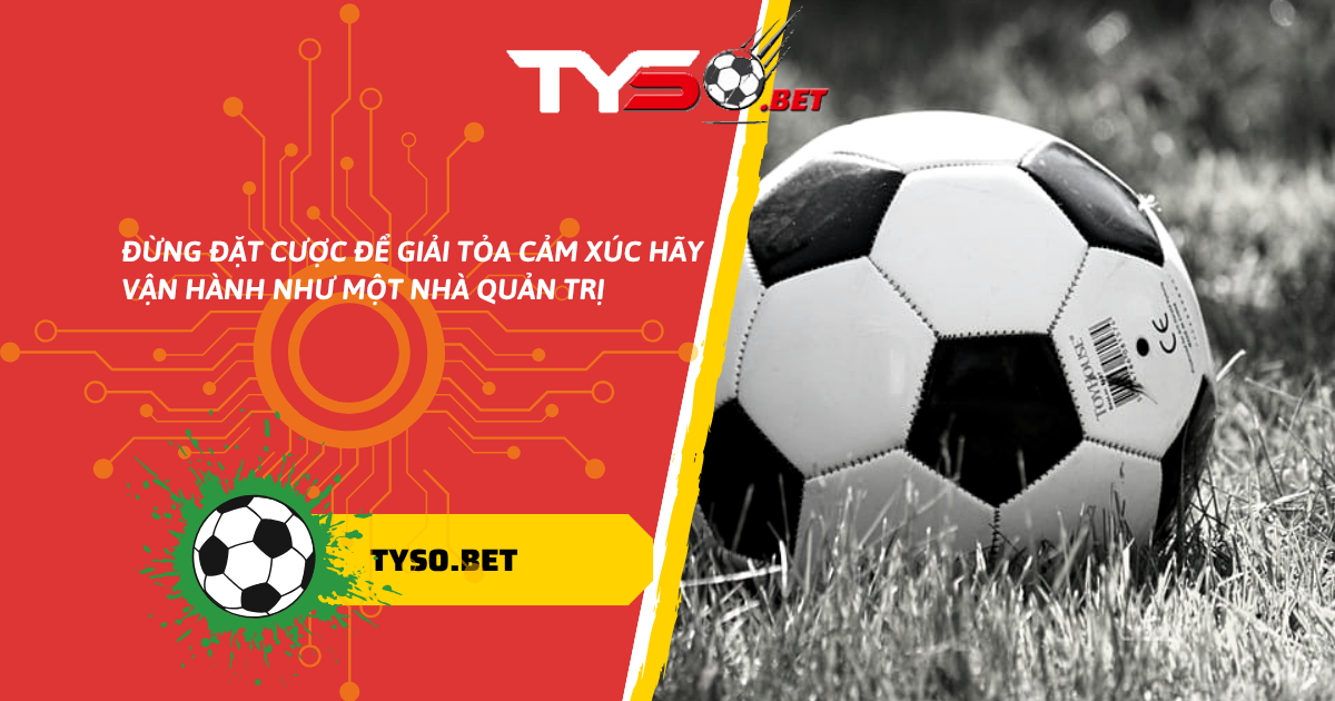 Tôi Đã Từng Thua Sạch Trong Một Đêm – Và Đây Là Cách Tôi Lật Ngược Tình Thế