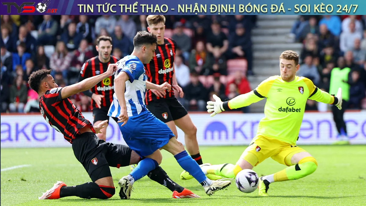 Nhận định Bournemouth vs Brighton, 21h00 ngày 13/09/2025 – Ngoại Hạng Anh