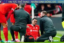 Ryan Gravenberch chấn thương nhẹ – Liverpool thở phào trước đại chiến với MU