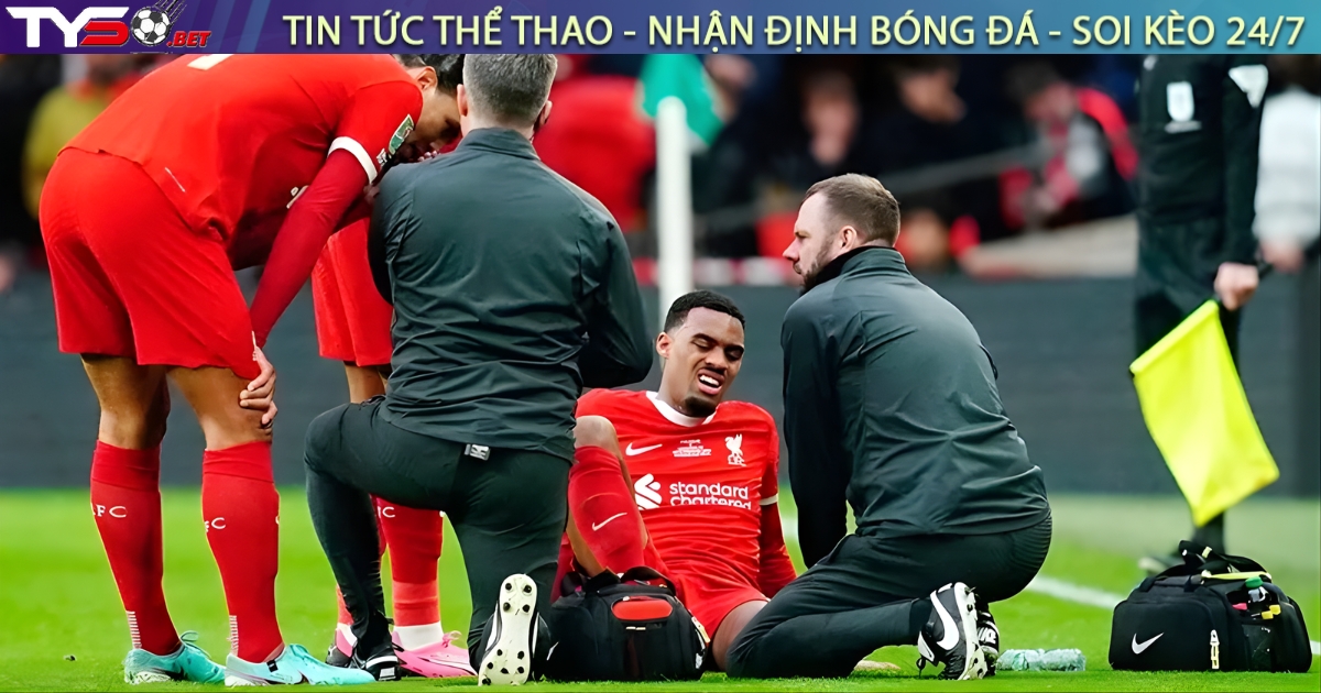 Ryan Gravenberch chấn thương nhẹ – Liverpool thở phào trước đại chiến với MU
