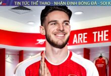 Piero Hincapie – Tân binh đang trên đường trở thành trụ cột mới của Arsenal