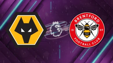 Nhận định Wolves vs Brentford (22h00 ngày 20/12): Bầy Sói cùng đường