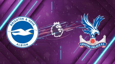 Nhận định Brighton vs Crystal Palace, 21:00 ngày 08/02: Đại bàng gãy cánh hay Mòng biển sa lầy?