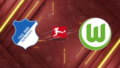 Nhận định bóng đá 1899 Hoffenheim vs VfL Wolfsburg, 21h30 ngày 14/03/2026