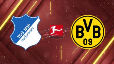 Nhận định 1899 Hoffenheim vs Borussia Dortmund, 20:30 18/04/2026