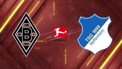 Nhận định Borussia Mönchengladbach vs 1899 Hoffenheim, 20:30 ngày 16/05/2026