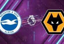 Nhận định bóng đá Brighton vs Wolves, 21:00 09/05/2026: Tiễn khách rời hạng