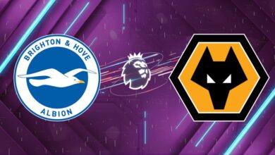 Nhận định bóng đá Brighton vs Wolves, 21:00 09/05/2026: Tiễn khách rời hạng