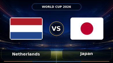 010 netherlands vs japan