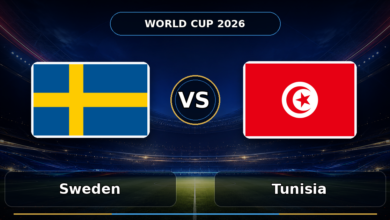 012 sweden vs tunisia