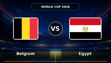 014 belgium vs egypt