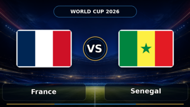 017 france vs senegal