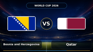 050 bosnia and herzegovina vs qatar