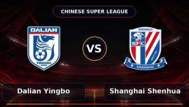 104 dalian yingbo vs shanghai shenhua