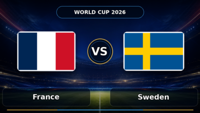110 france vs sweden
