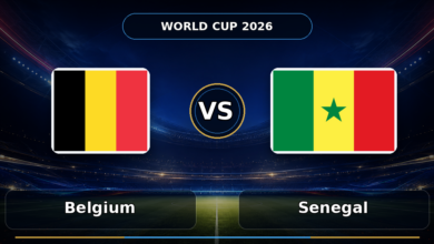 113 belgium vs senegal