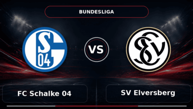 Nhận định FC Schalke 04 vs SV Elversberg