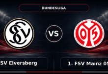 Nhận định SV Elversberg vs 1. FSV Mainz 05 - Match Card