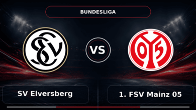 Nhận định SV Elversberg vs 1. FSV Mainz 05 - Match Card