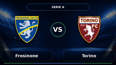 Nhận định Frosinone vs Torino - Match Card